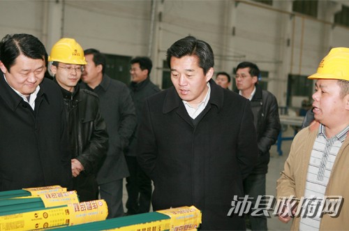 沛縣縣長等領導到我公司調研