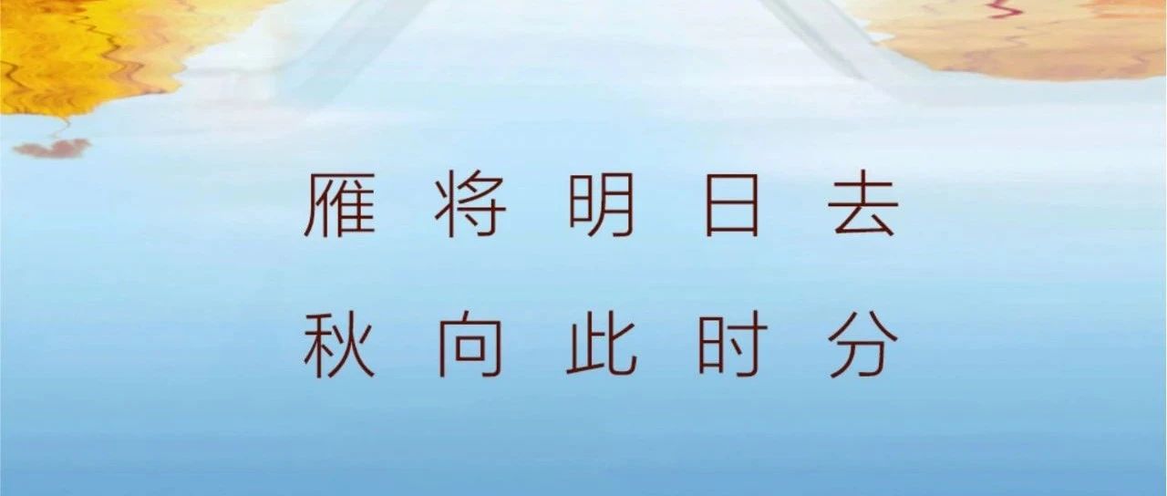 秋分 | 雁將明日去  秋向此時分！