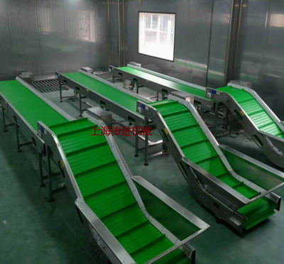 網(wǎng)帶輸送機(jī)，山核桃爬坡網(wǎng)帶提升機(jī)