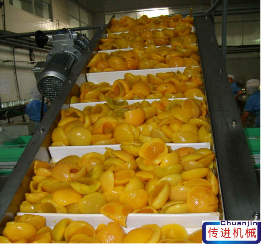 食品輸送機==食品級皮帶提升機、非標輸
